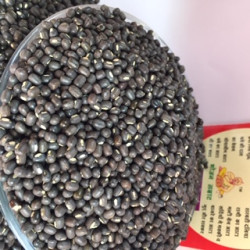 Urad Chilka 500Gram