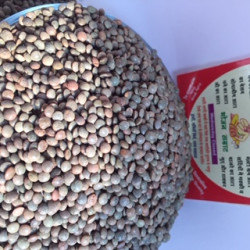 Kali Masoor 500 gram