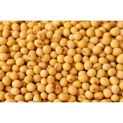 SoyaBean Sabut 500Gram
