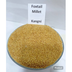 Foxtail Millet Kangni 500 gram