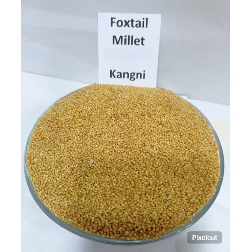 Foxtail Millet Kangni 500 gram
