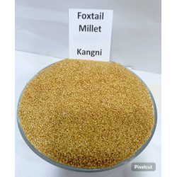 Foxtail without Peel Kangni Millets