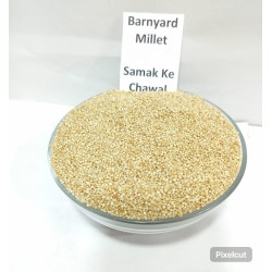 Barnyard Millet samak 500 gram