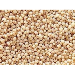 Khas Khas 50Gram