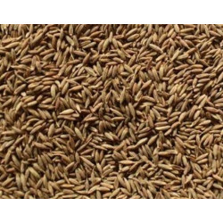 Shahi Jeera 100Gram