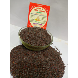 Kali Sarso 100gram